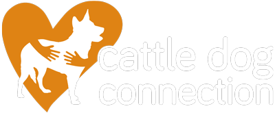 Cattle Dog Connection - Southern Africa
