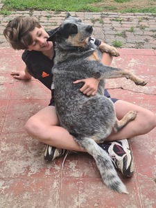20201205 163701 dingo